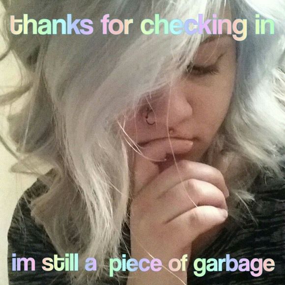 Meet your Posher, Luna - Picture 1 of 1